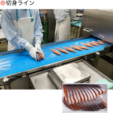 切り身ライン