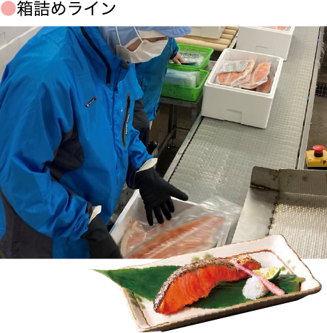 箱詰めライン