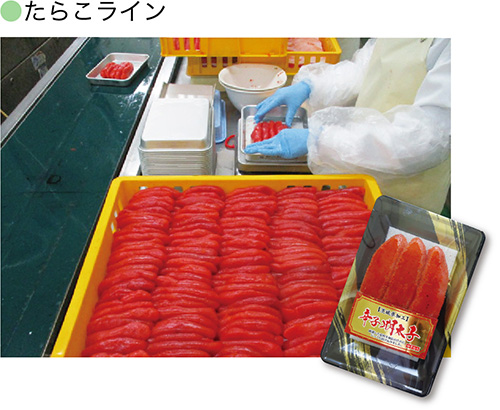 たらこライン