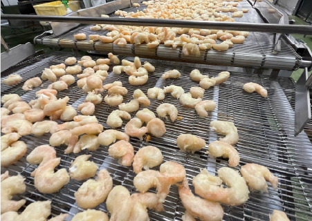 フリッターライン