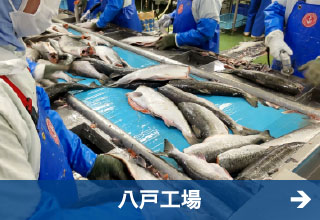 極洋食品株式会社　八戸工場